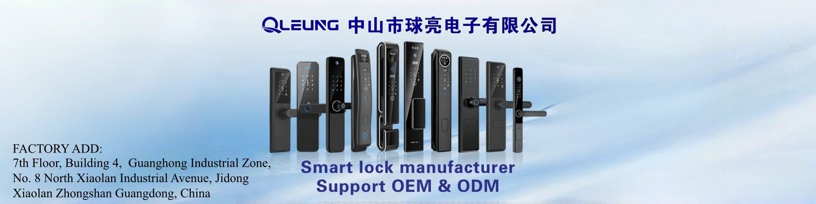 Electronic Door Locks