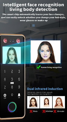 G5S Face Recognition Fingerprint Card Passcode Electronic Glass Door Lock for Office