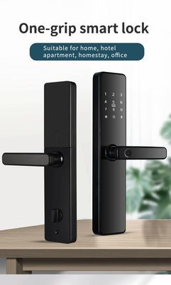 Stainless Steel Door Black/Red Bronze Newest Intelligent Digital Tuya WiFi App Smart Lock