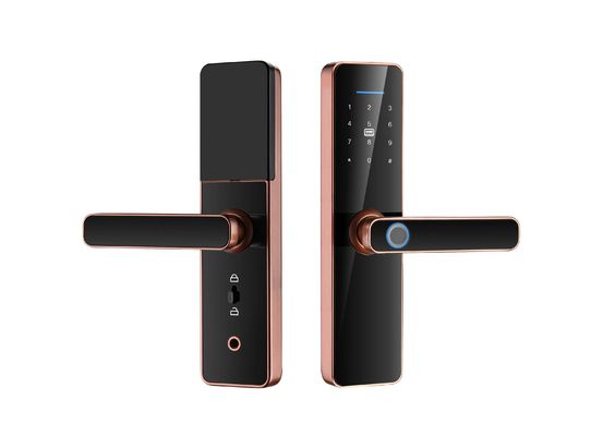 38-55mm Door Thickness Tuya Wifi Smart Locks with Fingerprint and Cloud Data Storage