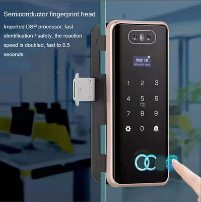 Intelligent G5S Glass Door Lock The Perfect Combination of Technology and Security