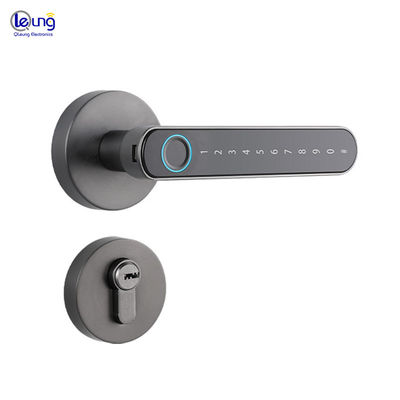 S604L Fingerprint Door Locks Tuya Smart Lock Door Thickness 35mm-55mm