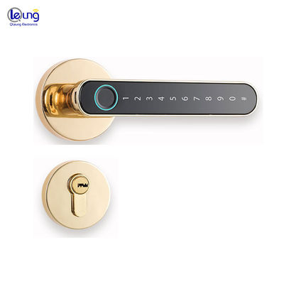 S604L Fingerprint Door Locks Tuya Smart Lock Door Thickness 35mm-55mm