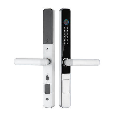 S608 Intelligent Lock Tuya TTLOCK Bluetooth APP Remote Control Locks Digital Smart Door Lock