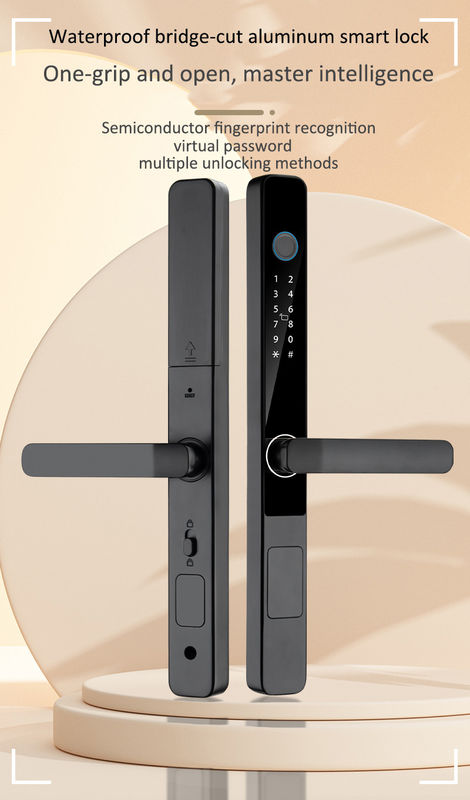 Zinc Alloy Camera Smart Lock Tuya Ring Camera Door Lock CE Approval