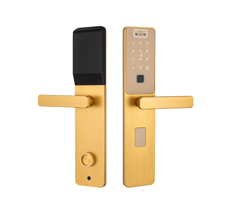 S869 Gold Color CNC Slim Plate Face Recognition  Palm Vein Unlock Tuya Door Lock 