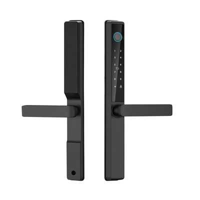 Outdoor Waterproof  TTlock Tuya Wifi Smart Card Finger Print Password Sliding Aluminum Door Lock