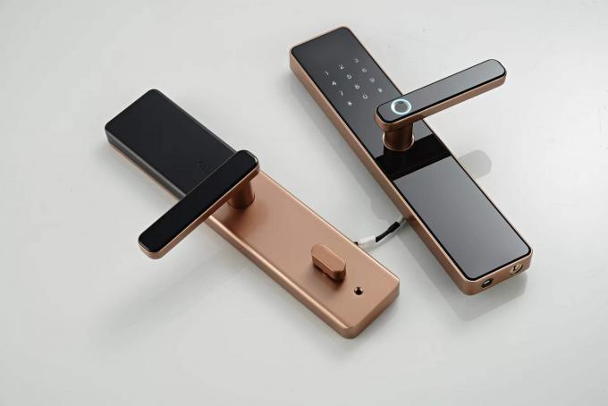 Intelligent Access Control Door Lock S819 with Tuya TTlock and Remote ...